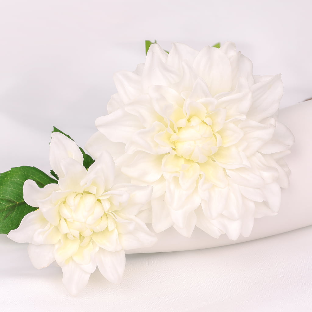 2-Head Sheeran Dahlia