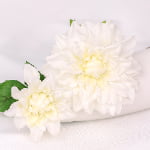 2-Head Sheeran Dahlia