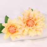 2-Head Sheeran Dahlia