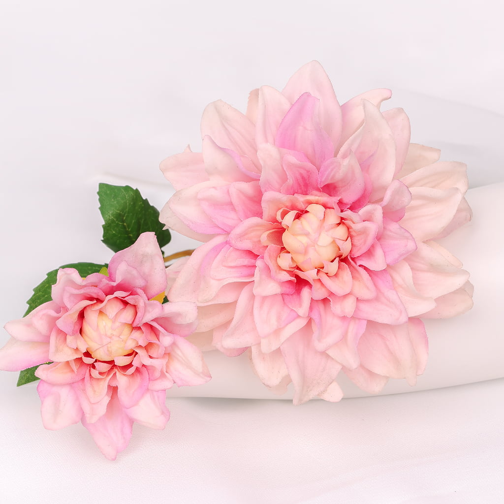 2-Head Sheeran Dahlia