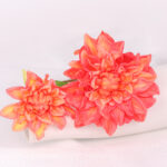 2-Head Sheeran Dahlia